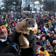 Illustration for article titled Tis The Season: Punxsutawney Phil Bears Bad Tidings